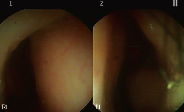 c5a3723ebd7268dc3477e22d8adf773d_1780983429_8186.jpg
