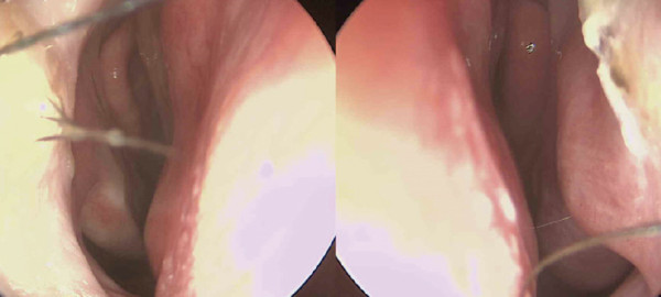 c5a3723ebd7268dc3477e22d8adf773d_1780986379_1667.jpg